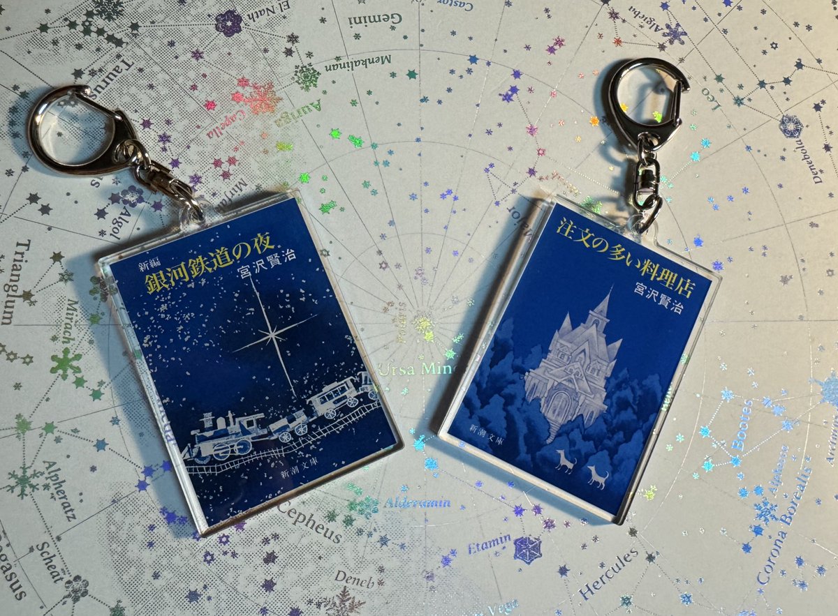iworidoll's tweet photo. 新潮文庫の公式アクリルキーホルダー📕
これは良いものだ・・・ https://t.co/DyObvJdWjz