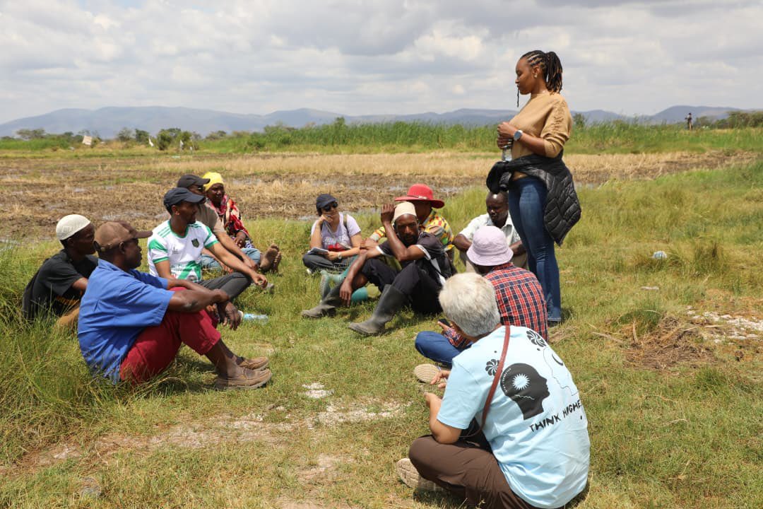 WISE-Futurestz tweet media