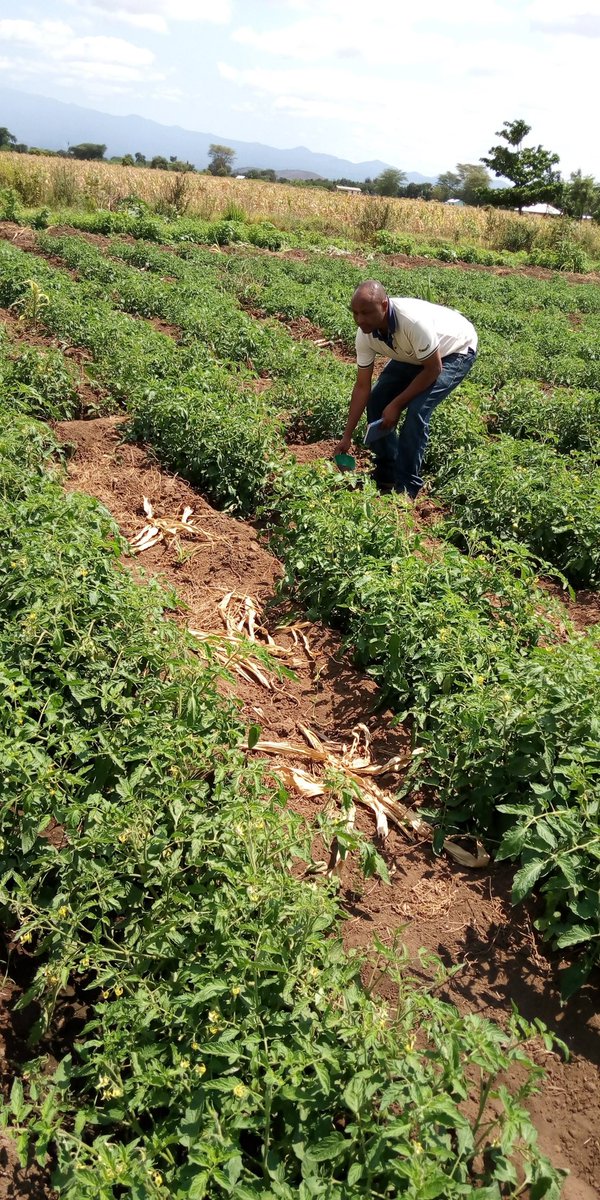 WISE-Futurestz tweet media