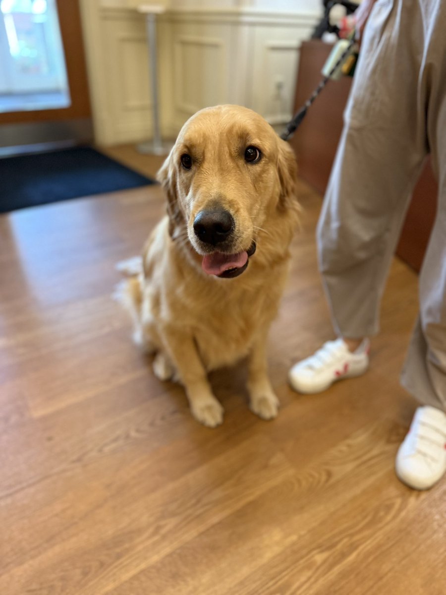 A round of “paws” for Moses! 👏🐾 He’s joining the Pet Therapy program to bring smiles, cuddles, and calm to those who need it most. Welcome, Moses—you’ve already stolen our hearts! 💜 If you’re looking to volunteer, check out our website under the “Volunteer” tab to learn more!