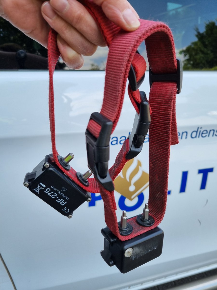 Dierenpolitie Oost-Brabant (@dierenpolitieob) on Twitter photo Oplettende collega nam zaterdag 2 stroombanden in beslag, in gemeente #Deurne. Icm "onzichtbare" omheining werden de honden hiermee op 't erf gehouden. Stroomband is, net als #prikband, al jaren verboden. PV volgt. Gebruik svp melden via 144. (SJ) <a href="/POL_Peelland/">Politie Basisteam Peelland</a> <a href="/Meldpunt144/">Meldpunt 144</a> Oplettende collega nam zaterdag 2 stroombanden in beslag, in gemeente #Deurne. Icm "onzichtbare" omheining werden de honden hiermee op 't erf gehouden. Stroomband is, net als #prikband, al jaren verboden. PV volgt. Gebruik svp melden via 144. (SJ) <a href="/POL_Peelland/">Politie Basisteam Peelland</a> <a href="/Meldpunt144/">Meldpunt 144</a>