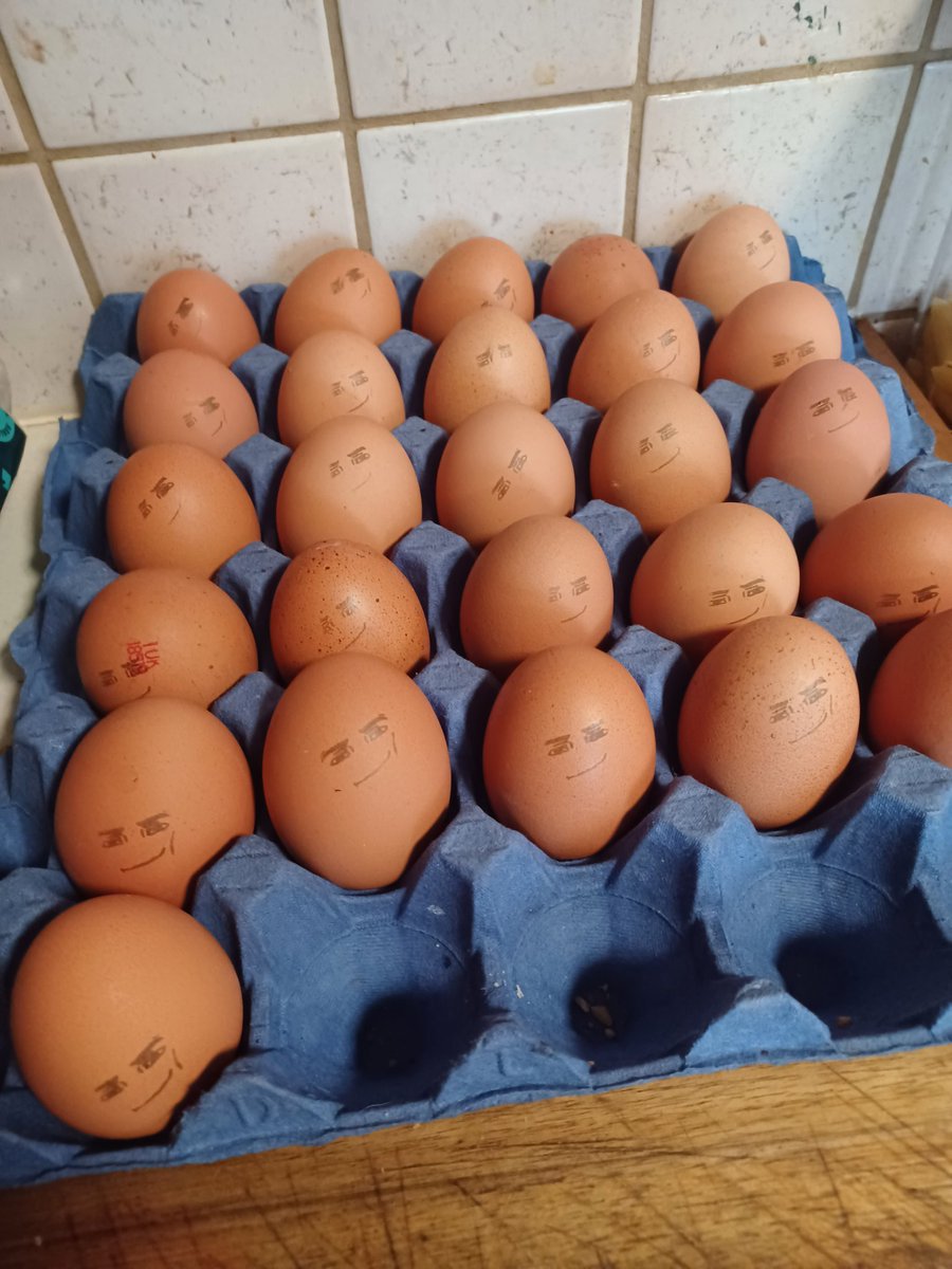 Came home to some happy eggs 🤣 thanks <a href="/KiranaYonome/">Kirana🥥💰</a>