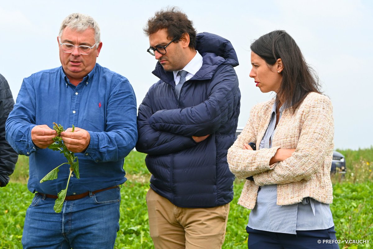 Même s’il est encore trop tôt pour évaluer l’impact de la jaunisse sur la récolte, la préfète a assuré aux producteurs qu’elle était pleinement consciente des effets de la récente censure partielle de la Loi Duplomb.