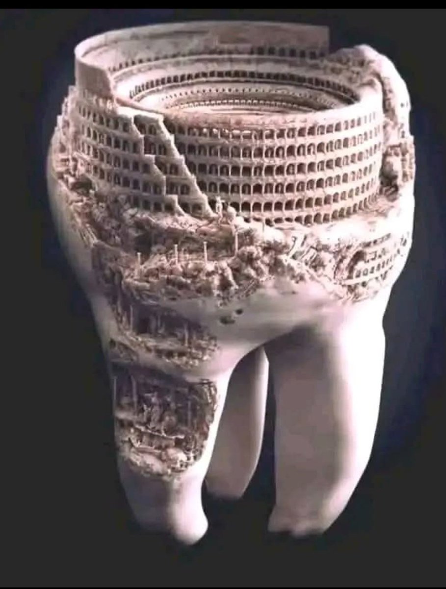 جب کبھی دانت میں شدید درد ہوتا ہے
تو انسان بس چاہتا ہے اسے نکال باہر کرے
اور جب وہ دانت نکل جاتا ہے
تو زبان بار بار اسی خالی جگہ پر جاتی ہے
حالانکہ اب ویسا درد نہیں رہا
مگر خالی پن اپنی جگہ رہتا ہے
دانت نکال دینا یہ نہیں کہ وہ خلا بھی بھر جائے
یا اس کی کمی محسوس نہ ہو
بس انسان