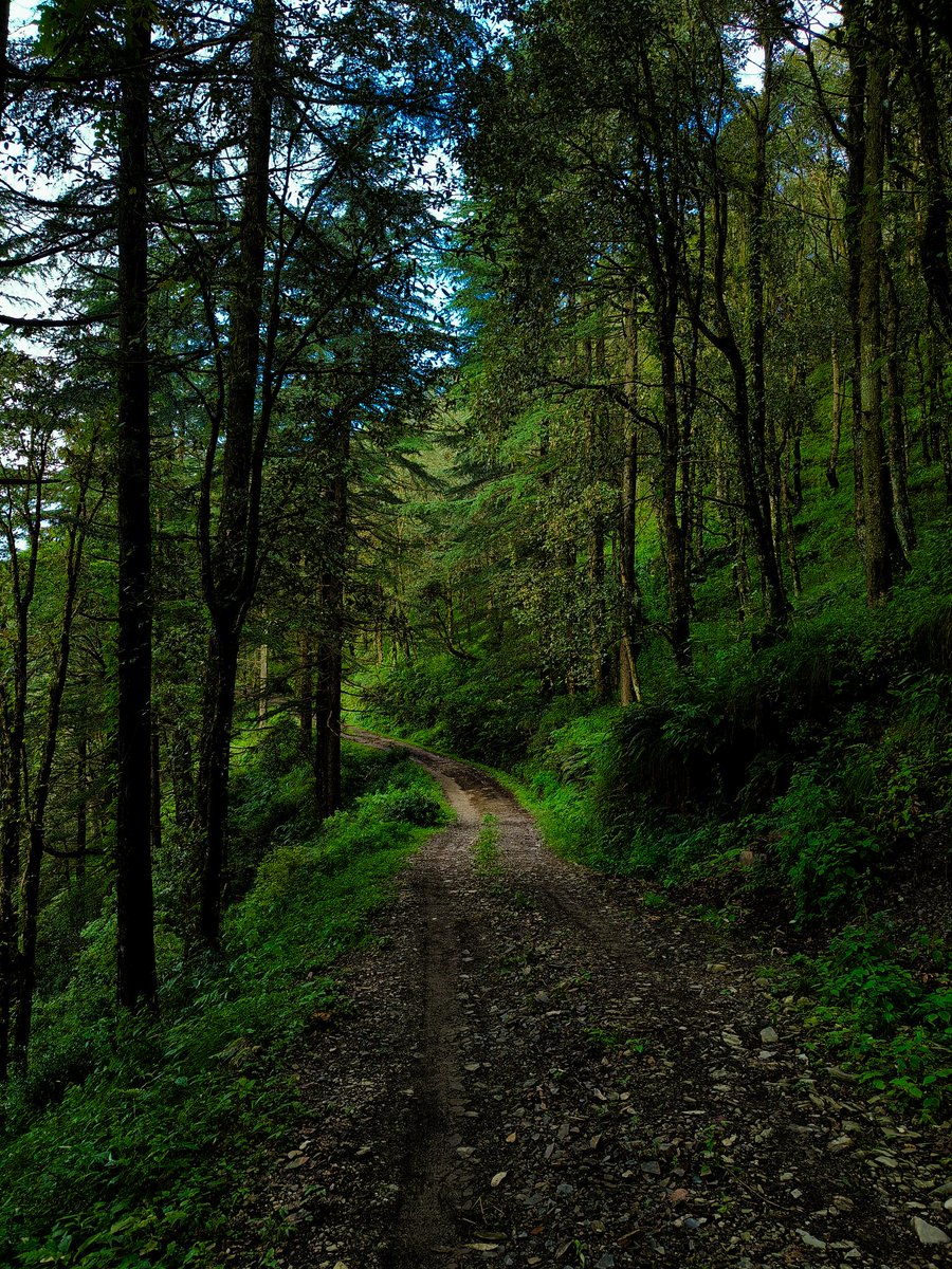 <a href="/jpeg2023/">JPEG</a> Welcome to the Jungle 🌲🌲