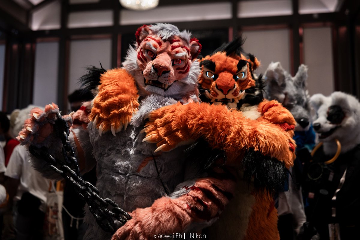 Man…I love these tigers.
山门永存。
📸：me
🐯：<a href="/di__qun/">DI QUN</a>  <a href="/SHAN_JUN_/">Shan Jun【山君工坊】</a>