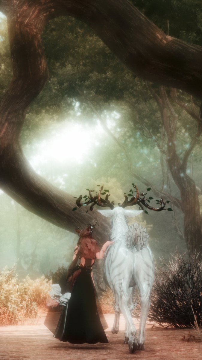 frozenlioness's tweet image. 𝑓𝑢𝑙𝑙 𝑜𝑓 𝑤𝑜𝑛𝑑𝑒𝑟
#whimwed