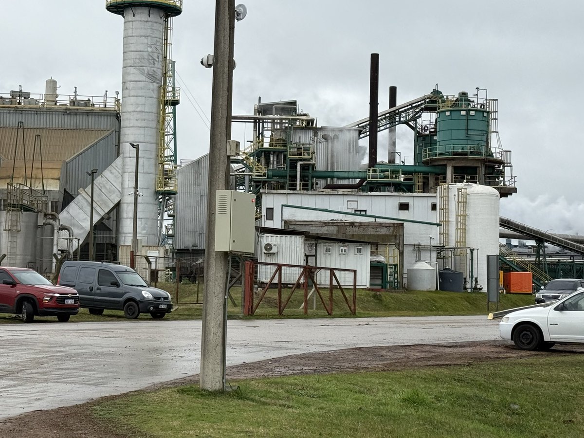 Carlos Daniel Camy tweet media