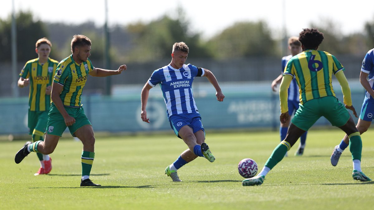 charlie_tasker's tweet photo. Recently #bhafc https://t.co/HyPBpS5ie4