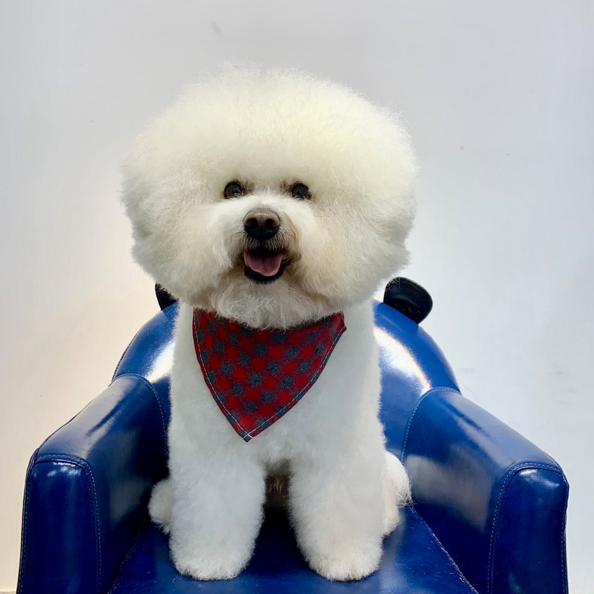 fatbobman (东坡肘子) tweet media