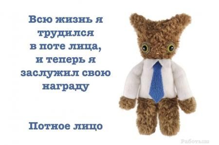 сыр (@frogs_top_) on Twitter photo 