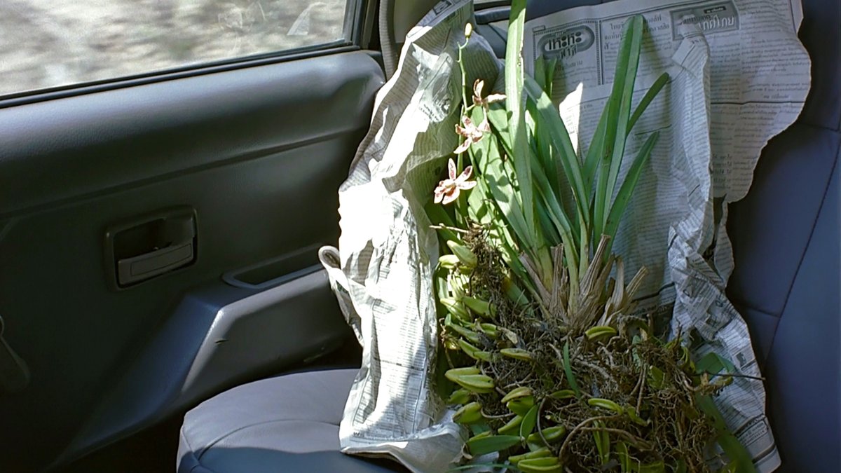 syndromes and a century (2006) told me i can find love at an orchid farm