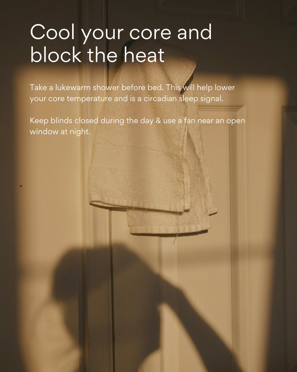 Bettervits tweet media