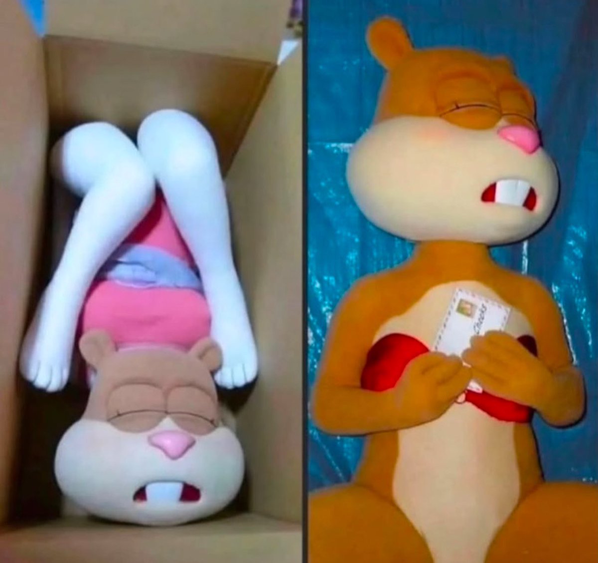 lilslayer's tweet image. I did not order this wtffff!