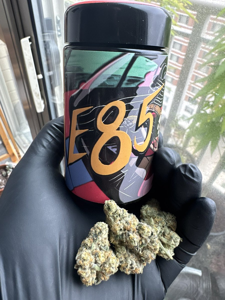 Blick (@blick847) on Twitter photo E85 bred by <a href="/Grandiflora510/">Grandiflora Genetics</a> and cultivated by <a href="/PleasantEffects/">Pleasant Effects</a>. The last time I had this, everyone else was sleeping on it. Hope it doesn’t happen again. It’s like if ice cream cake were green and really really fire. Killer gas and cutting potency E85 bred by <a href="/Grandiflora510/">Grandiflora Genetics</a> and cultivated by <a href="/PleasantEffects/">Pleasant Effects</a>. The last time I had this, everyone else was sleeping on it. Hope it doesn’t happen again. It’s like if ice cream cake were green and really really fire. Killer gas and cutting potency