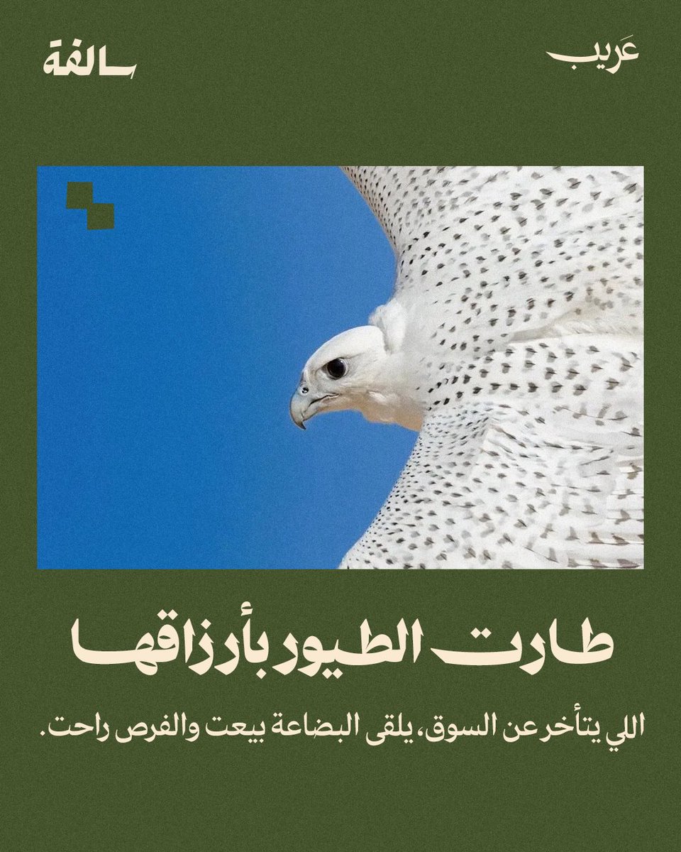 يُحكى إن فيه تاجر، كان دائمًا يتأخر عن فتح دكانه في السوق.
في يوم من الأيام وصّل متأخر، ولقى أغلب الزبائن أخذوا حاجتهم من المحلات الثانية.
سأل جاره: «وين الناس؟ ما في حركة!»
رد عليه وهو يضحك: «طارت الطيور بأرزاقها.»

فهم التاجر إن الرزق يحب اللي يسعى له بدري، وإن اللي يسبق هو