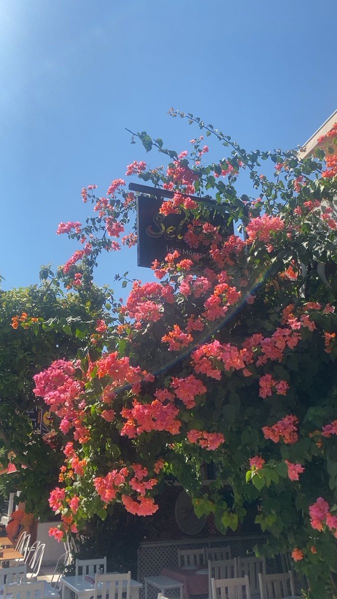 BirCheesecake's tweet photo. Küçük bir tatil dumpı🤍 https://t.co/r6hRyWqQ02