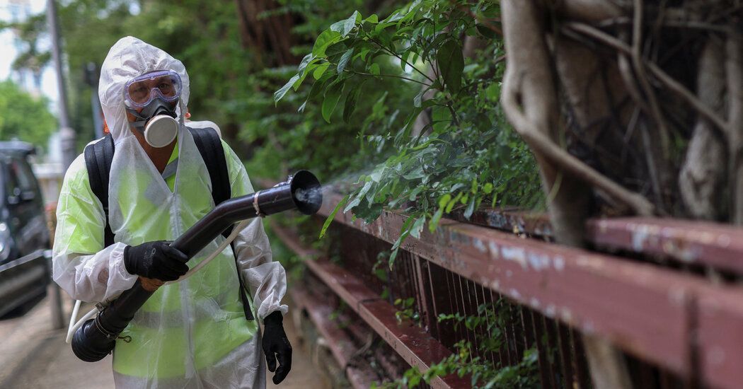 Cases of Mosquito-Borne Chikungunya Virus Are Surging Globally: What to Know buff.ly/ftkn3gy