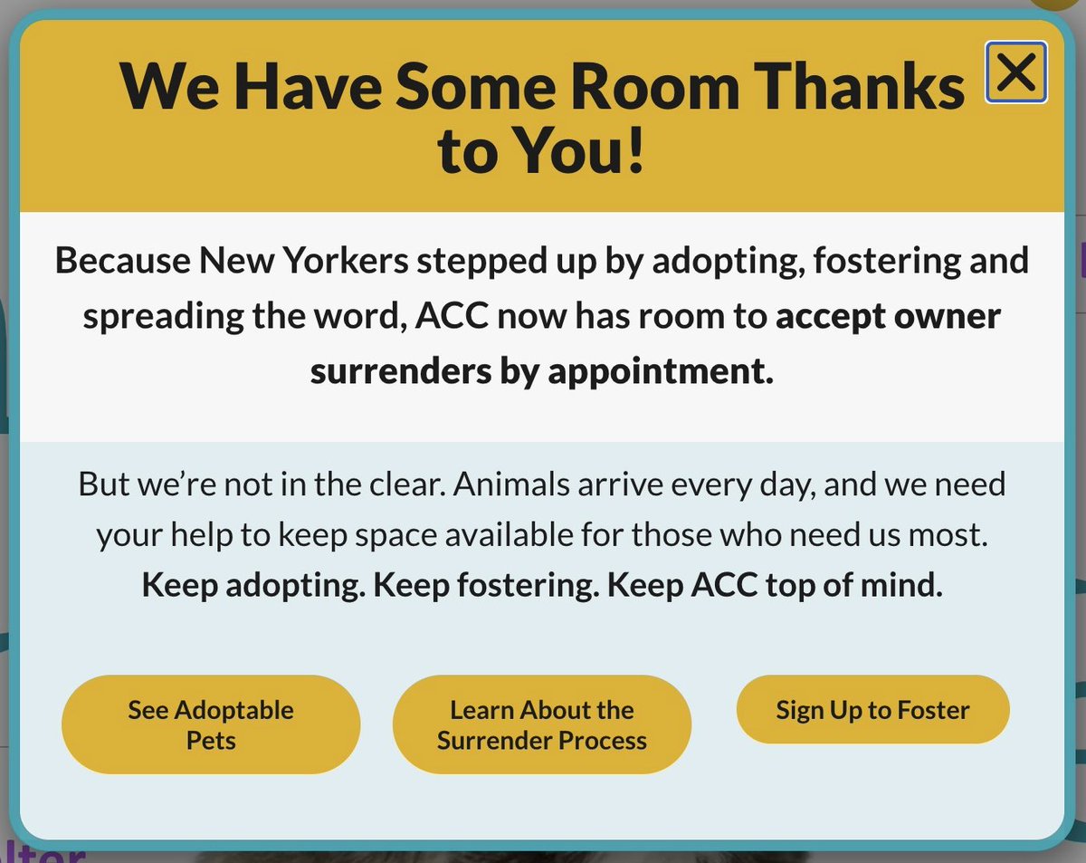 The Scoop New York • Subscribe Today! (@thescoopnewyork) on Twitter photo EXCLUSIVE: 34 days later, the <a href="/NYCACC/">Animal Care Centers of NYC</a> <a href="/NYCHealthCommr/">Dr. Michelle Morse</a> <a href="/nycHealthy/">nychealthy</a> shutdown is over (with appointments); and <a href="/NYCACC/">Animal Care Centers of NYC</a> <a href="/NYCHealthCommr/">Dr. Michelle Morse</a> <a href="/nycHealthy/">nychealthy</a> announced a reopening for the first time in recorded history.
Beep beep. EXCLUSIVE: 34 days later, the <a href="/NYCACC/">Animal Care Centers of NYC</a> <a href="/NYCHealthCommr/">Dr. Michelle Morse</a> <a href="/nycHealthy/">nychealthy</a> shutdown is over (with appointments); and <a href="/NYCACC/">Animal Care Centers of NYC</a> <a href="/NYCHealthCommr/">Dr. Michelle Morse</a> <a href="/nycHealthy/">nychealthy</a> announced a reopening for the first time in recorded history.
Beep beep.