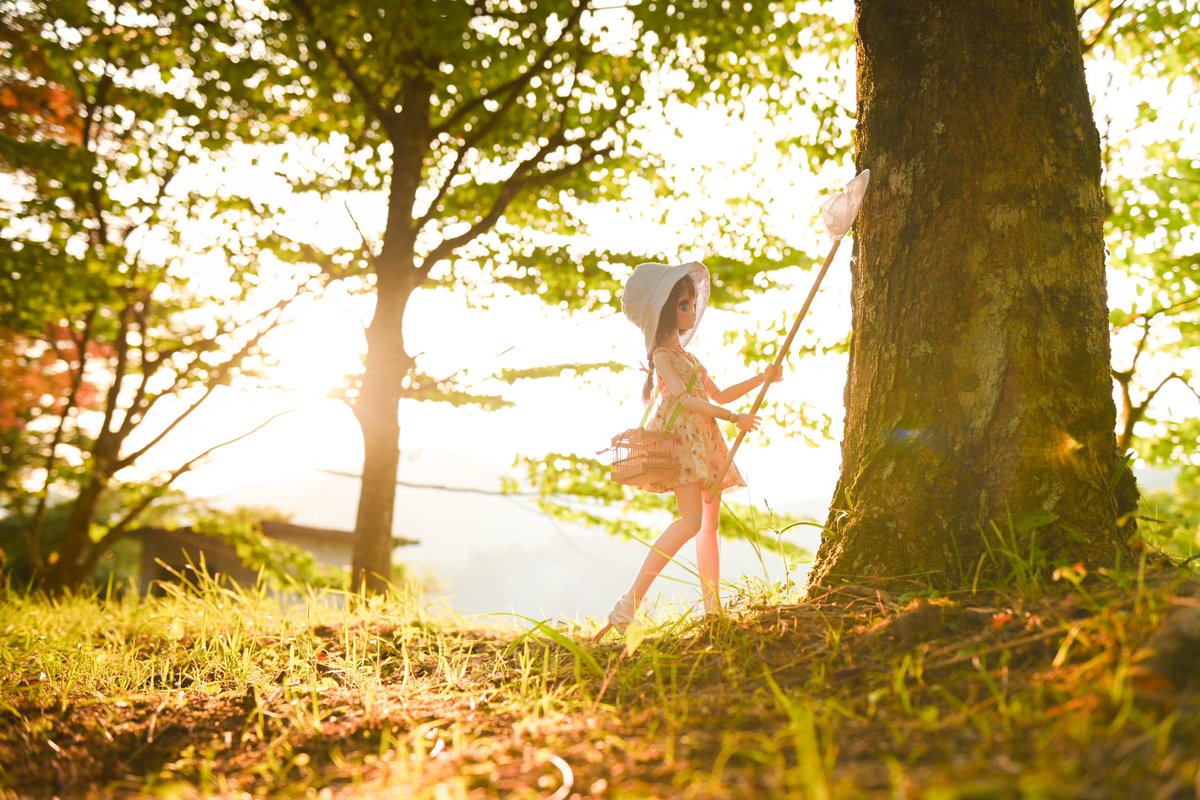 ひまり『むしさんは、なんでむしさんなんなぁ〜(*´ω`*)』
虫さんだからだよ〜捕まえれたかしら😌
夏休みひまりちゃんは、夏休み🌻満喫中☺️虫カゴめちゃくちゃ良い！！