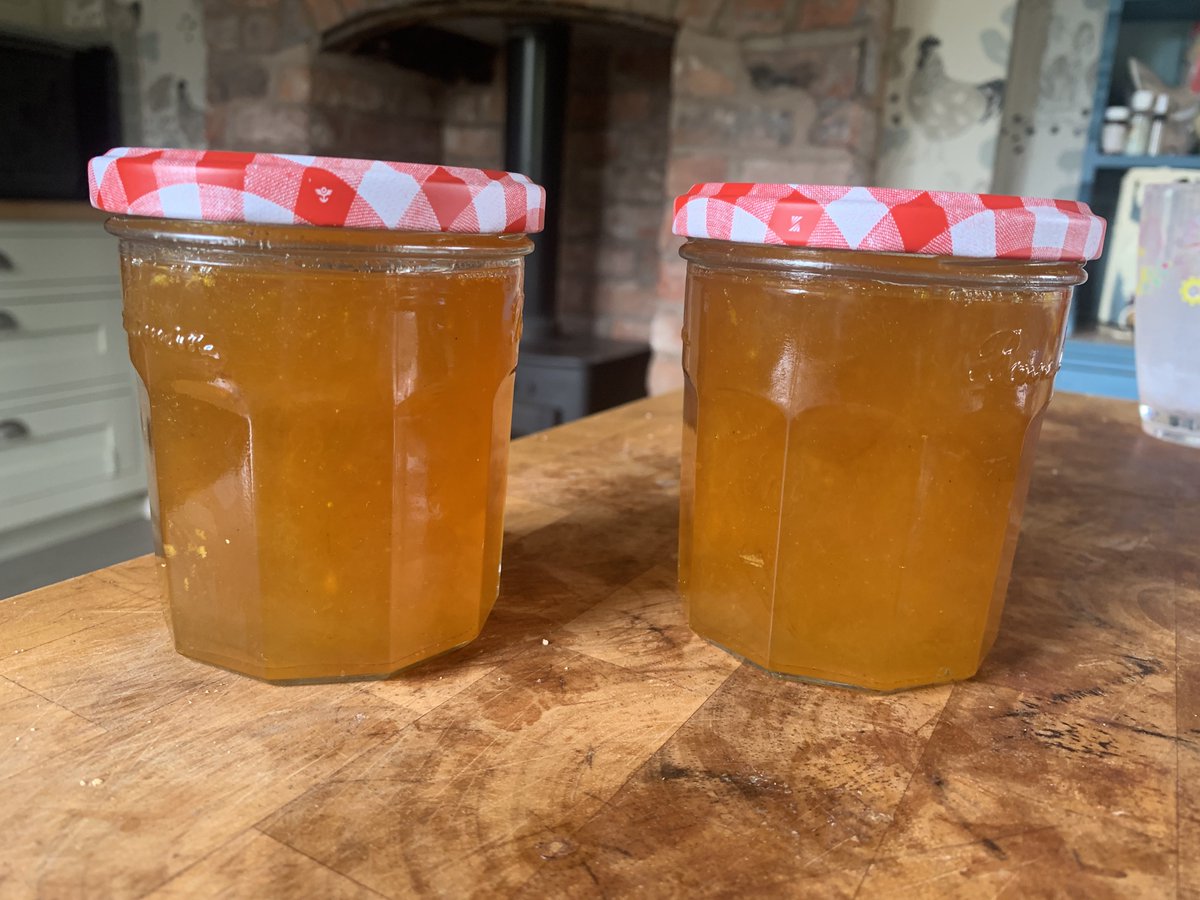 therivercottage's tweet photo. Mirabellle plums from near the in-laws, 700g of plums, 500g of normal sugar and a couple of tablespoons of lemon juice https://t.co/SADGHNCZtd