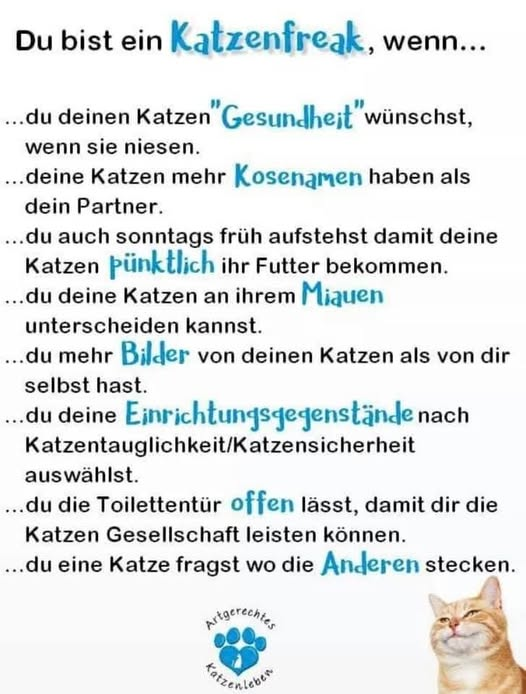 Ally Catmom (@lordi1960) on Twitter photo 