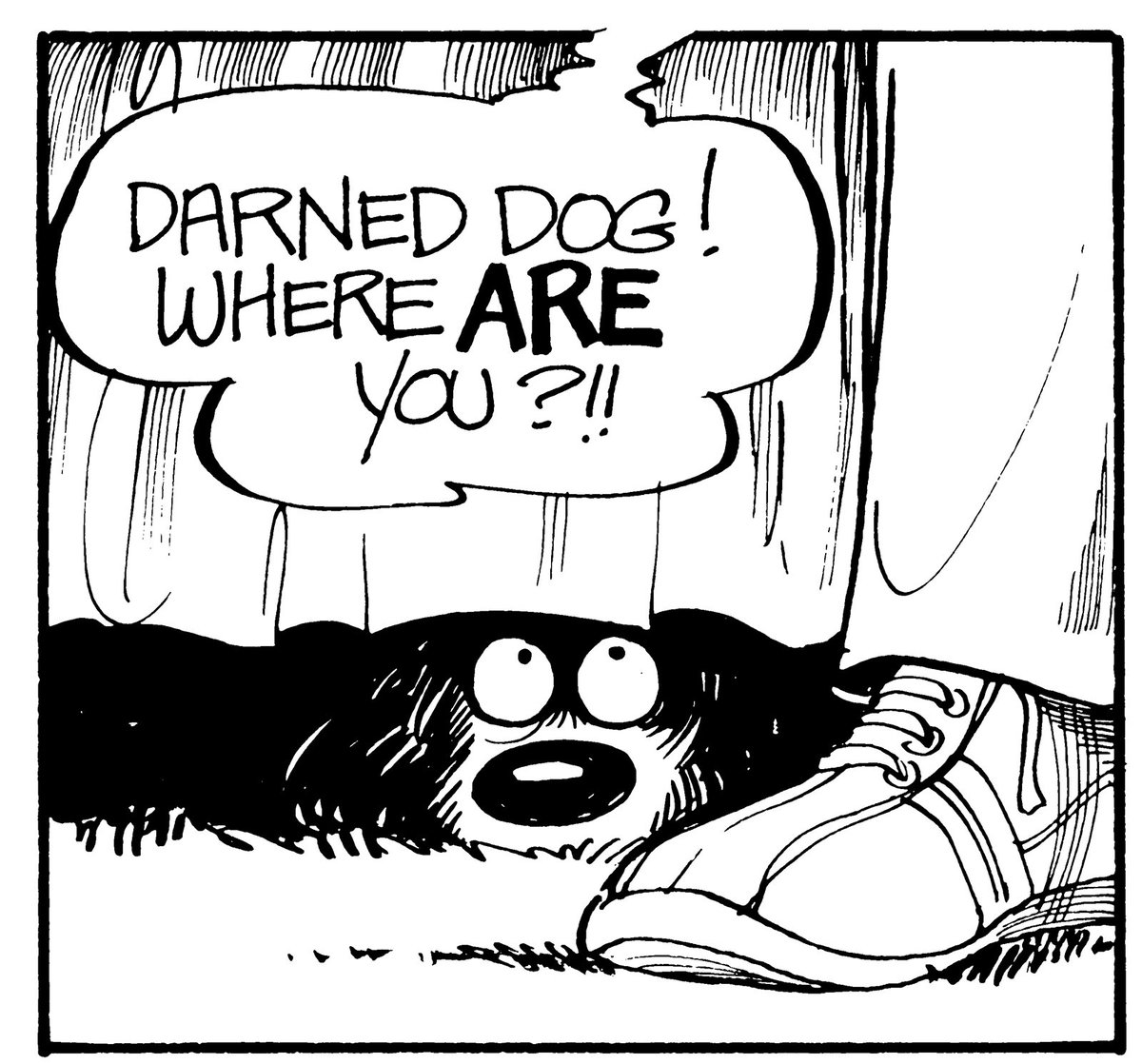 Lynn did a great job showing emotions with just a few simple lines. What do you think Farley is hiding from? A bath?

#farley #funnycomics #fborfw #lynnjohnston