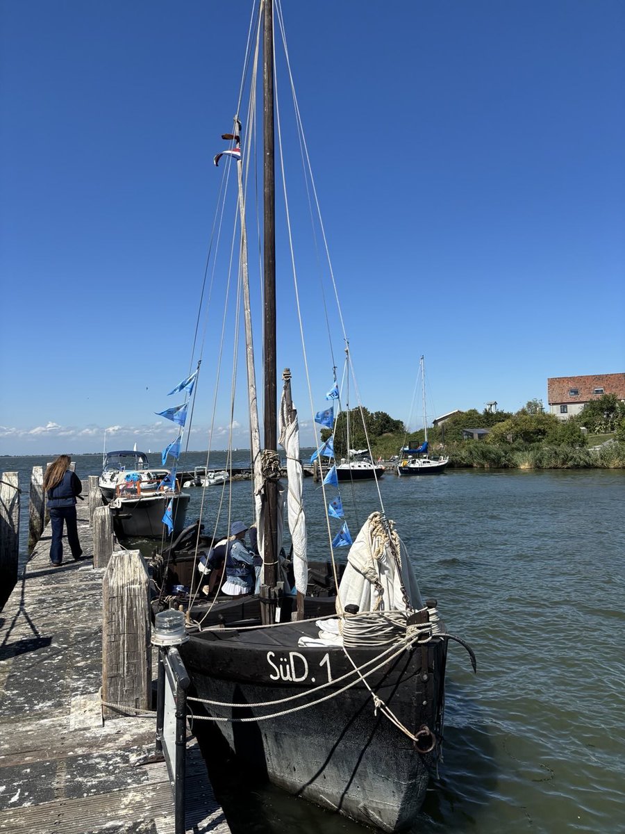 Lithuania in the Netherlands tweet media