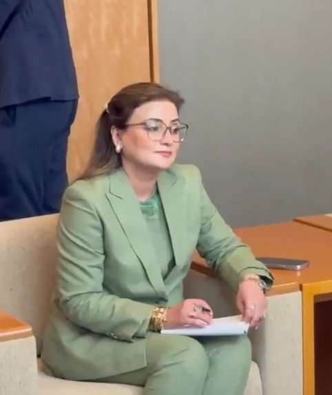 پنجاب کی عظمی بخاری اور جاپان کی عظمی بخاری میں فرق