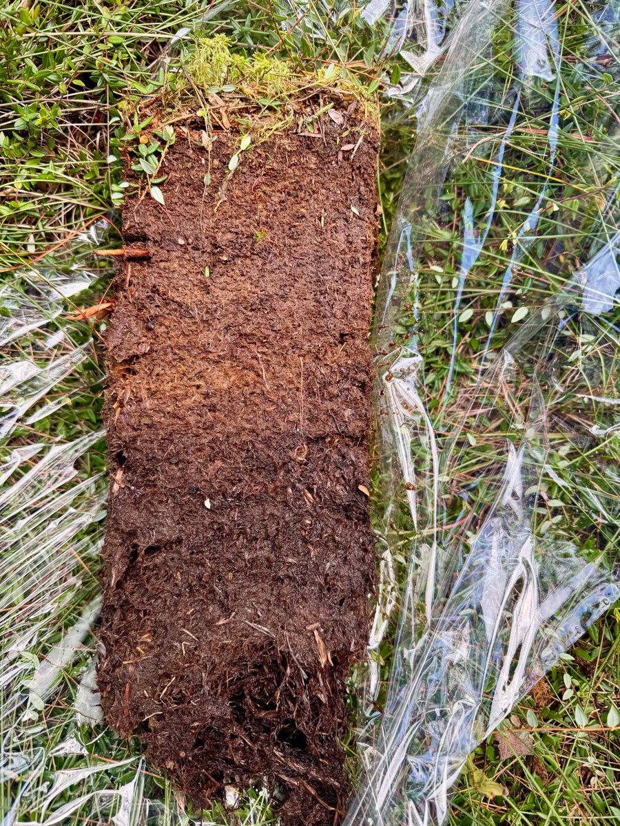 MIRECLIM project tweet media