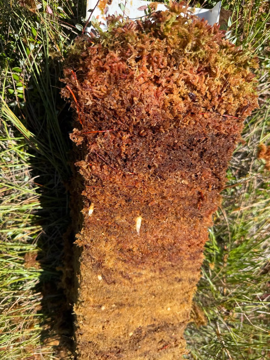 MIRECLIM project tweet media