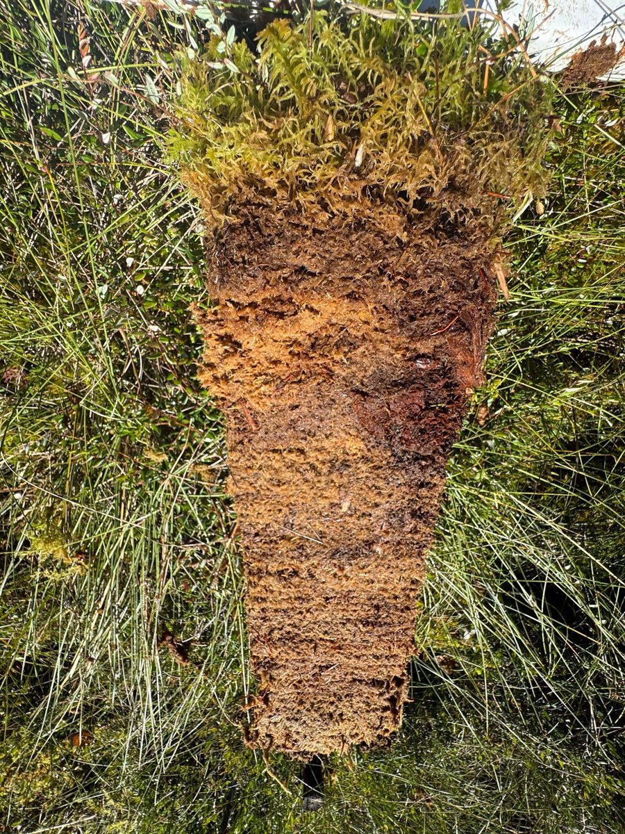 MIRECLIM project tweet media