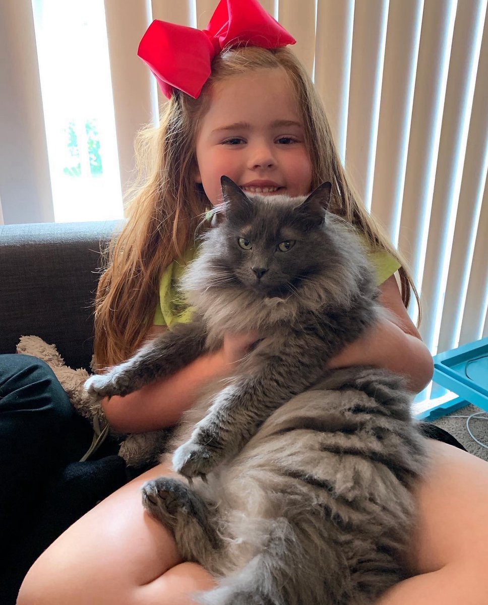 Lucy turns 11! Soulmated so hard with this one. My ride or die best friend. Originally we got her for Caroline, but she instantly decided I was her human. 💖 

Happy Birthday, Lucy 🎂😻
