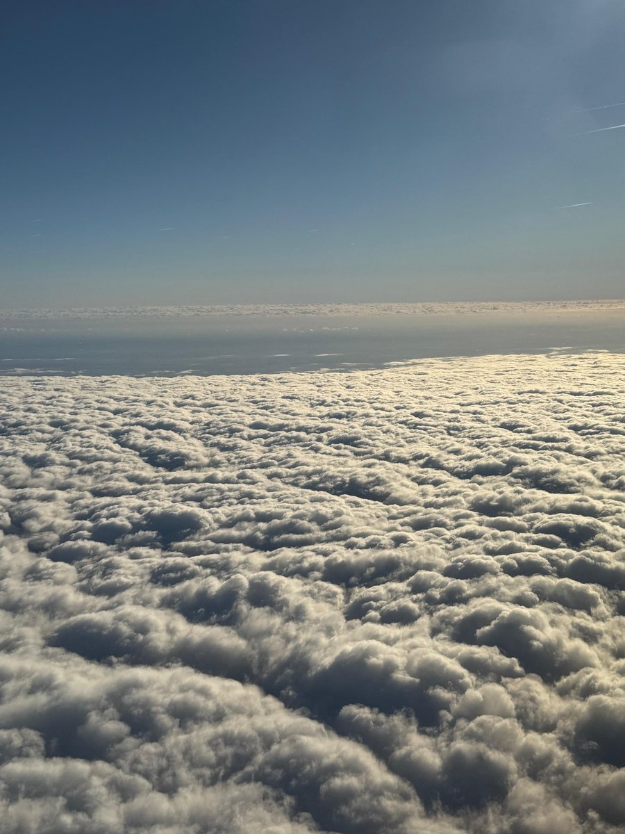 Bye Bye ❤️🤍💙Later…