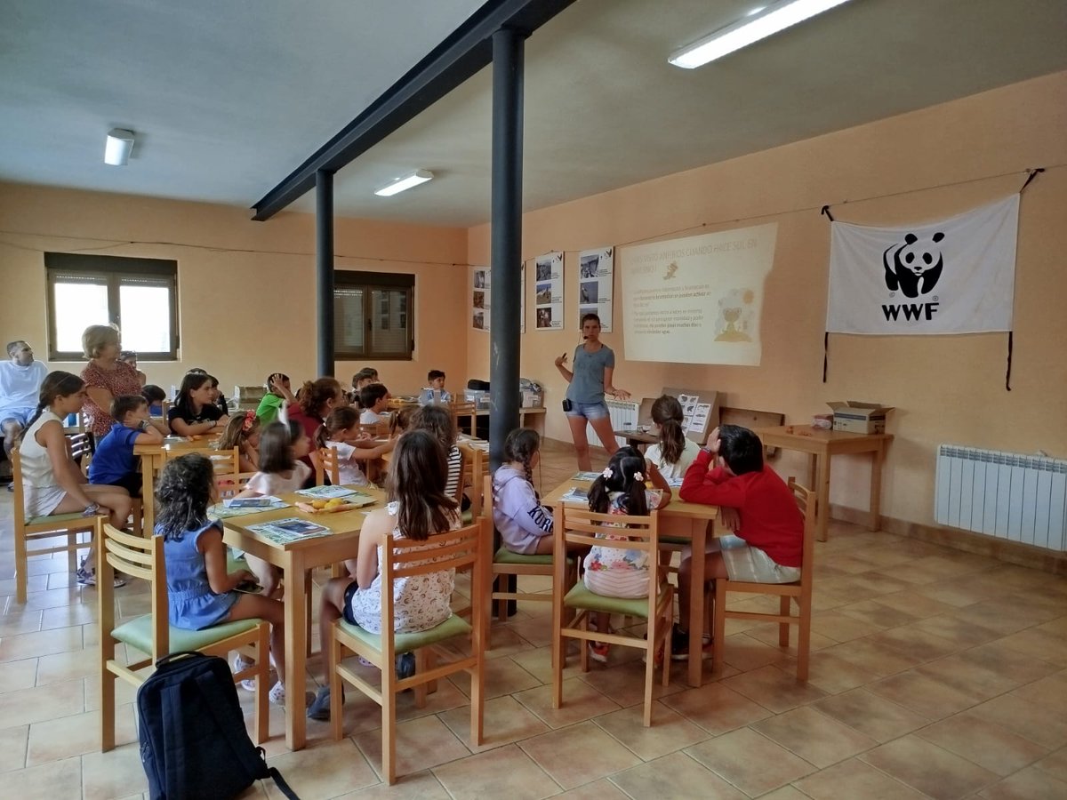 Gran participación en los talleres sobre la importancia de anfibios 🐸 y abejas 🐝 
Organizado, junto con Juniperus Ecoturismo, en la Semana Cultural de Montejo
Muchas gracias a todos‼️ El año que viene más😍🤗