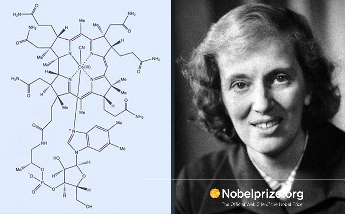 On #20August 1955, Dorothy Crowfoot Hodgkin and her colleagues published the final structure of vitamin B12.
Dorothy Crowfoot Hodgkin was awarded the #Nobel Prize in Chemistry 1964 "for her determinations by X-ray techniques of the structures of important biochemical substances".