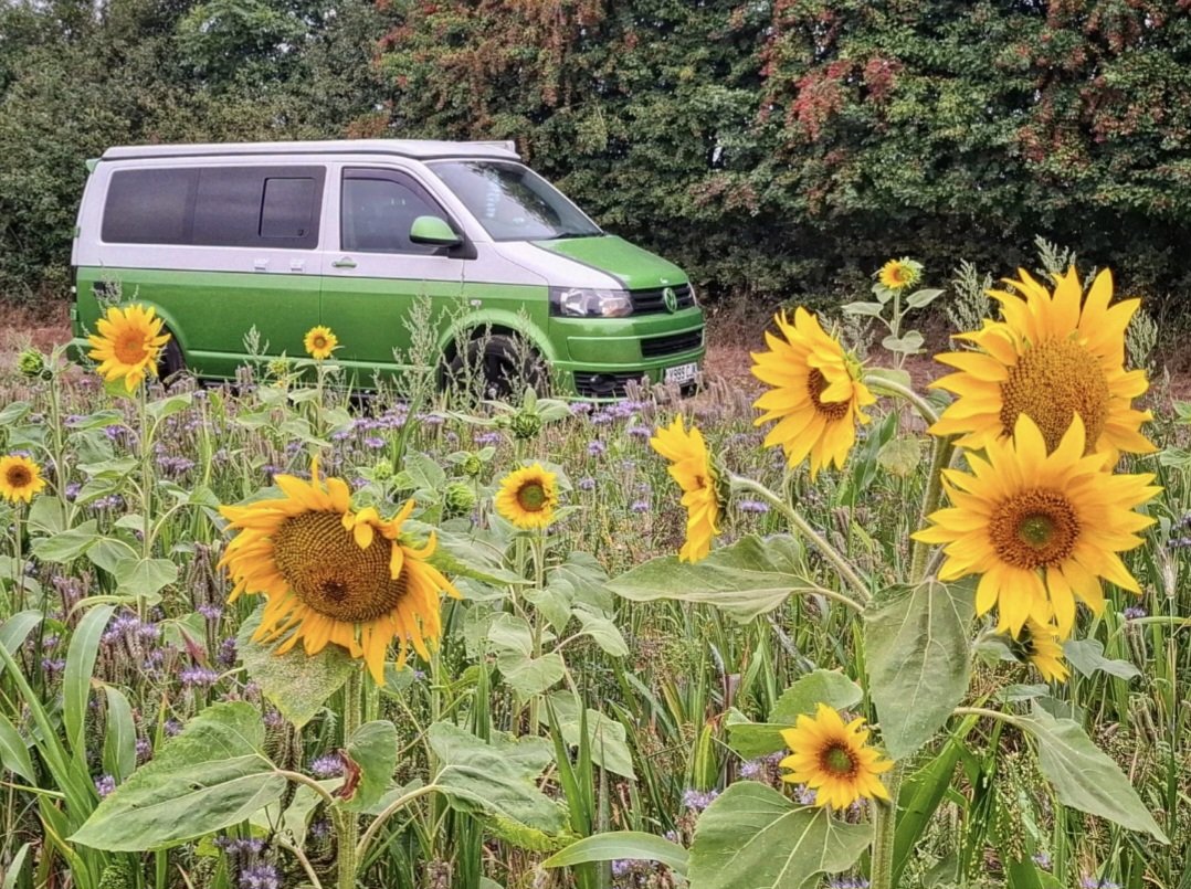 A field of #Sunflowers 🌻🌻 in #Radwinter #Essex <a href="/UKWeatherLive/">UK Weather Live</a> <a href="/AngliaWeather/">Anglia Weather</a> <a href="/bbcweather/">BBC Weather</a> <a href="/metoffice/">Met Office</a> <a href="/ChrisPage90/">Chris Page - Weatherman</a> <a href="/WeatherAisling/">Aisling Creevey</a> <a href="/AmandaHouston/">Amanda Houston</a> <a href="/carolkirkwood/">Carol Kirkwood</a> <a href="/lizzieweather/">Elizabeth Rizzini</a>