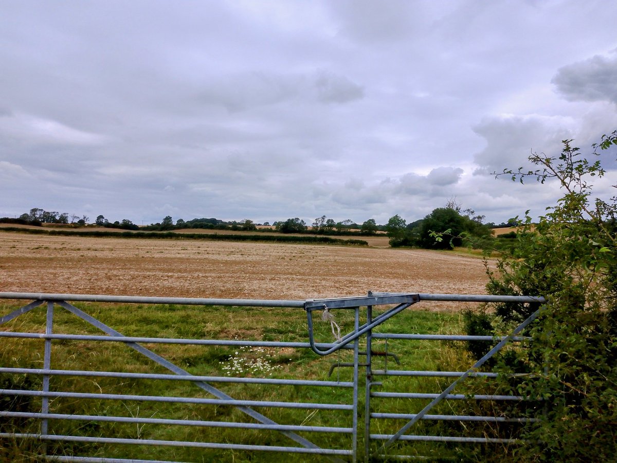 phil0073's tweet photo. #CatAcre from #JohnGreenSlade , with #CowMuckSlade, the further field just in view. We can guess how this Slade came to be named....
#PhilOnaBike #Thursgate #clouds #FaxtonFields https://t.co/74j2wmpWBS