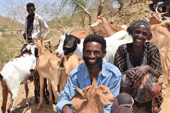 Before the conflict, Tesfay's family thrived in Abergele Yecchilla but lost everything. Thanks to REST- Bread for the World, they now own goats and are on the path to healing. "We are so happy and grateful for this support!" - Tesfay 🐐❤️ 
#Resilience 
#Hope