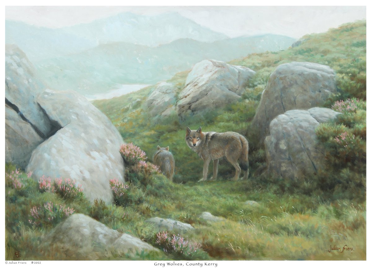 Julian Friers tweet media