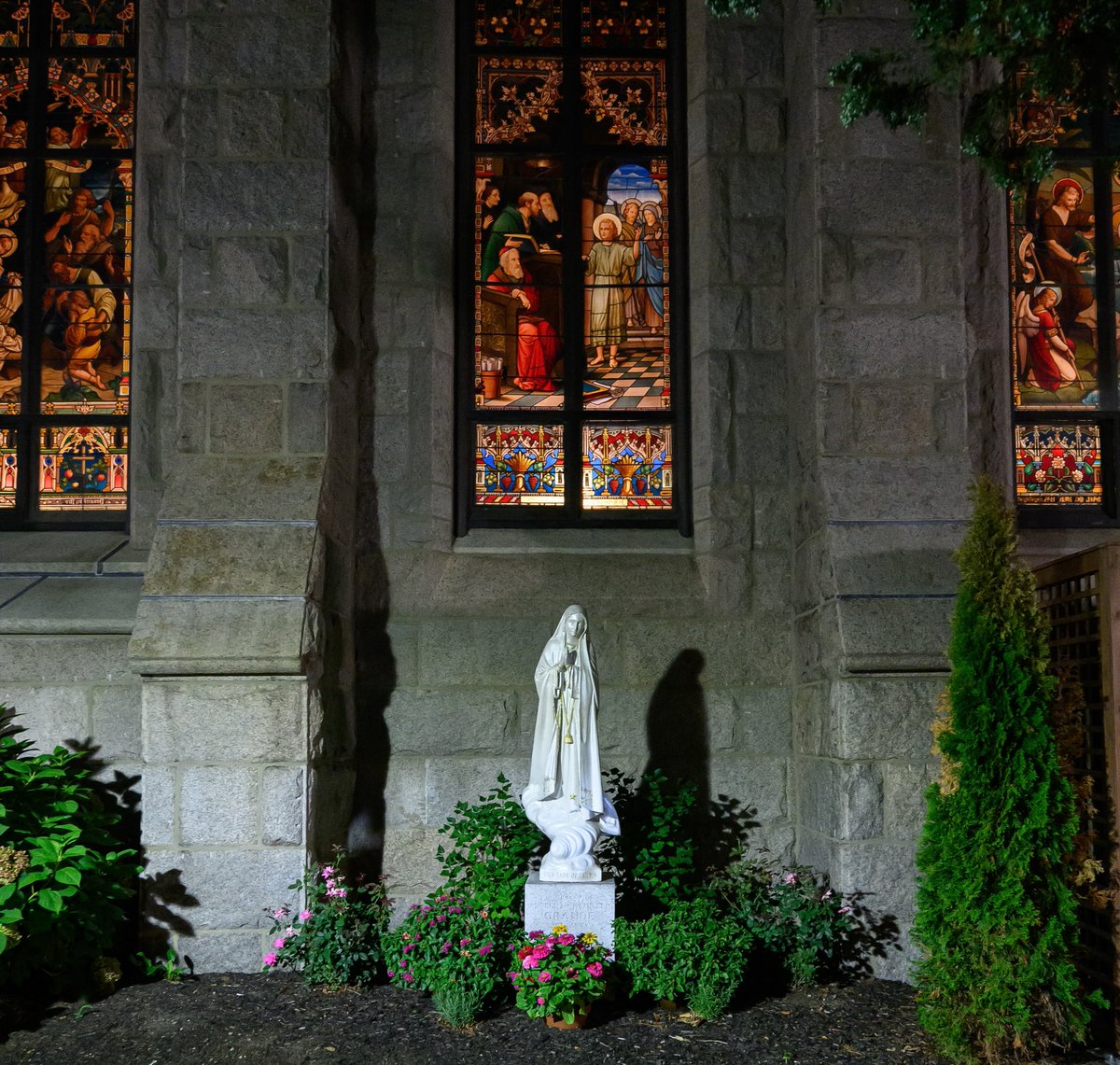 StMaryFSSP's tweet photo. Evenings at beautiful St Mary’s. https://t.co/1jZwPxgGq9
