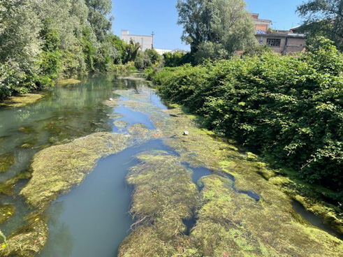 Il freno invisibile della vegetazione acquatica nei nostri fiumi

Un’analisi basata su un caso studio reale che impone un cambio di paradigma nella gestione dei corsi d’acqua di risorgiva

ideaingegneria.com/il-freno-invis…