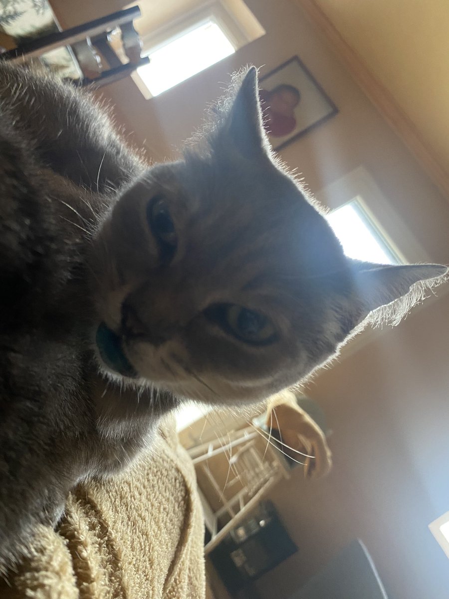 heyyy_kidss tweet media