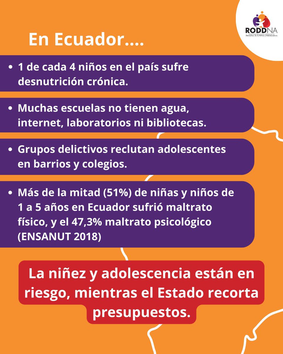 RODDNA Ec tweet media