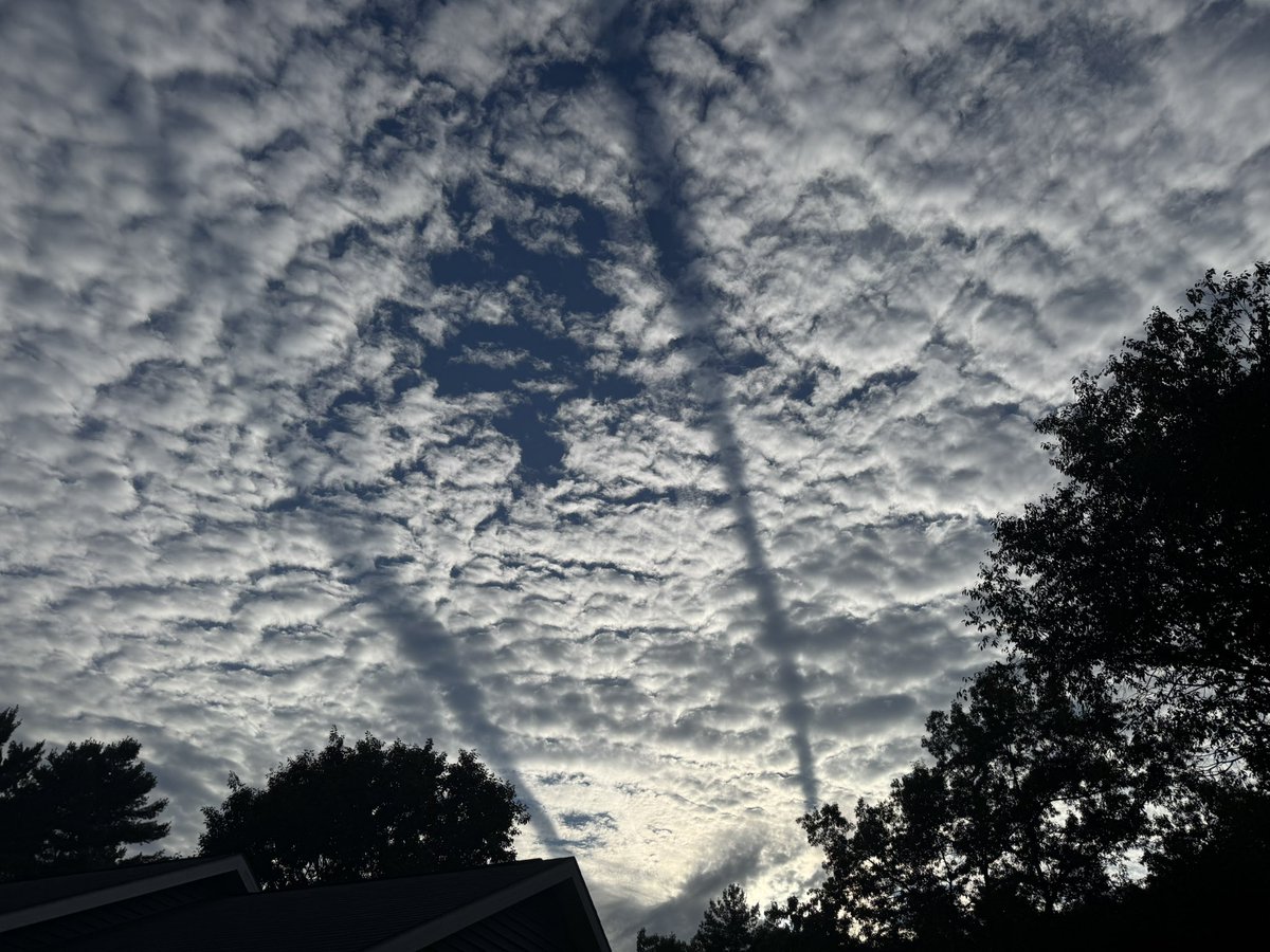 Zeropoly tweet media