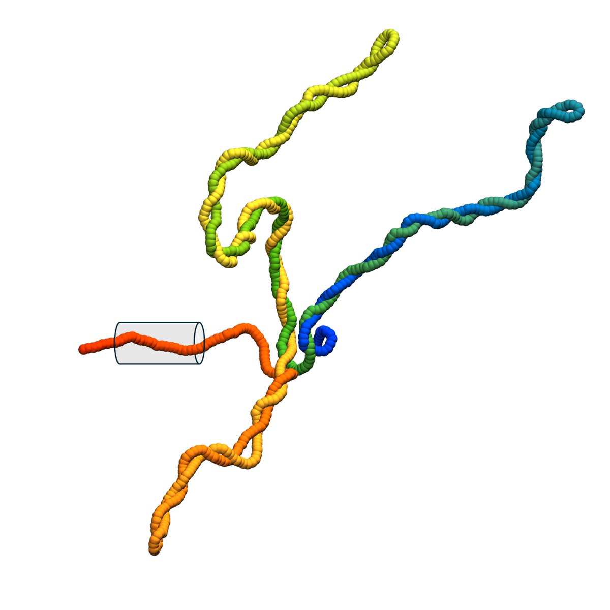 SISSA (@sissaschool) on Twitter photo 🧬 A new study led by SISSA and <a href="/Cambridge_Uni/">Cambridge University</a> has revealed how #DNA forms plectonemes, supercoils that look like tiny twisted tangles, when pulled through a nanopore.
👉 Read the full press release: sissa.it/news/twisted-s… 🧬 A new study led by SISSA and <a href="/Cambridge_Uni/">Cambridge University</a> has revealed how #DNA forms plectonemes, supercoils that look like tiny twisted tangles, when pulled through a nanopore.
👉 Read the full press release: sissa.it/news/twisted-s…