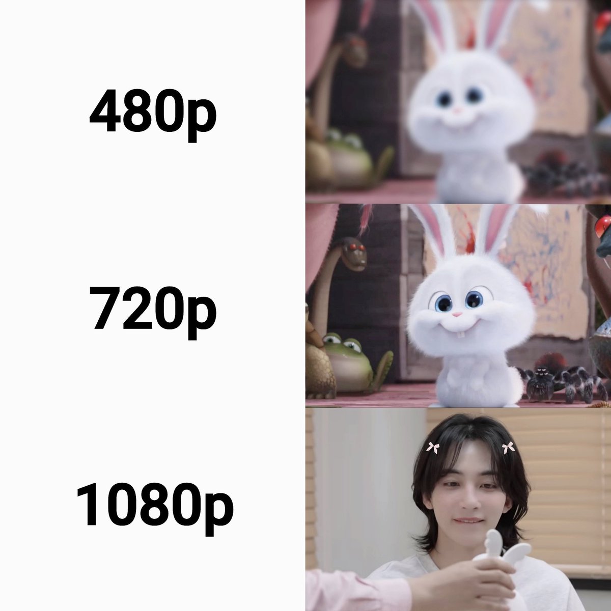 snowball 100% 🐰⭐️🎀