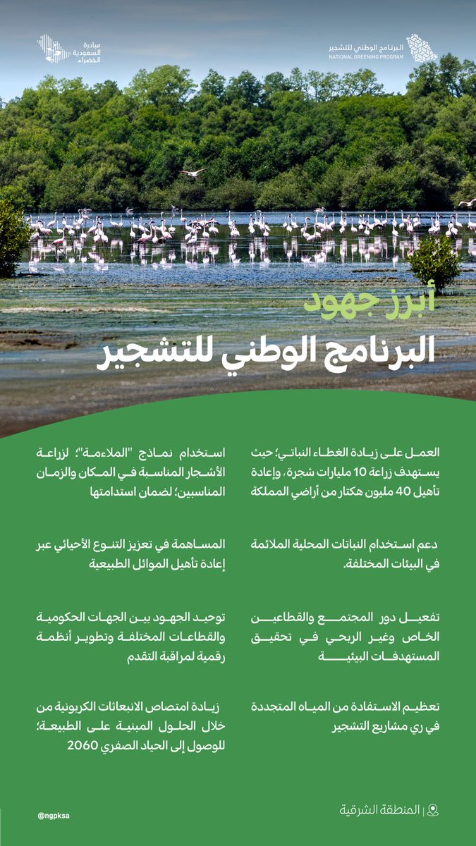 أهداف طموحة يسعى #البرنامج_الوطني_للتشجير إلى تحقيقها، مستندة إلى دراسات بيئية وعلمية شاملة لتطوير خطة رئيسة للتشجير.