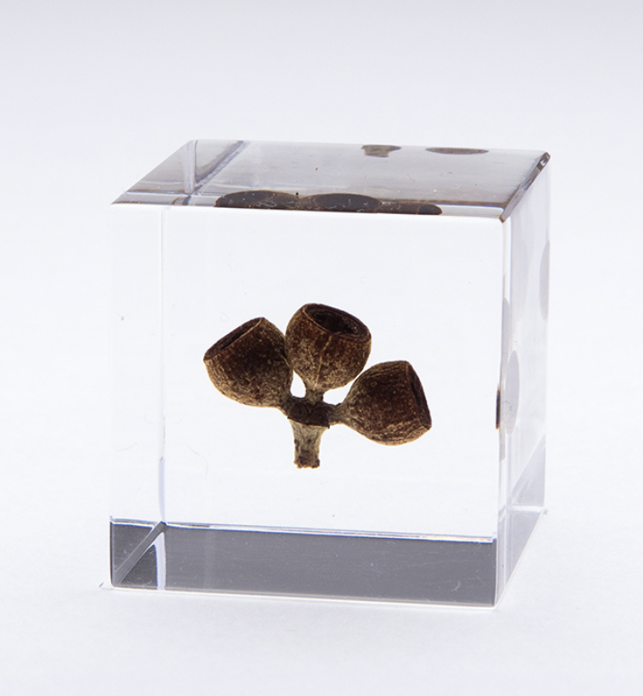 Han Saglam tweet media