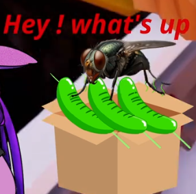 Ne faite pas comme mes parents. 

N'oubliez pas le poulet dans l'Airfryer... 😐 au bout d'un moment ça pue 🤢 et y a de gentille asticot et mouche qui s'installent sans payer de loyer. 😱